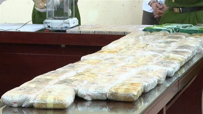 Gran cantidad de droga incautada. (Foto: VNA)