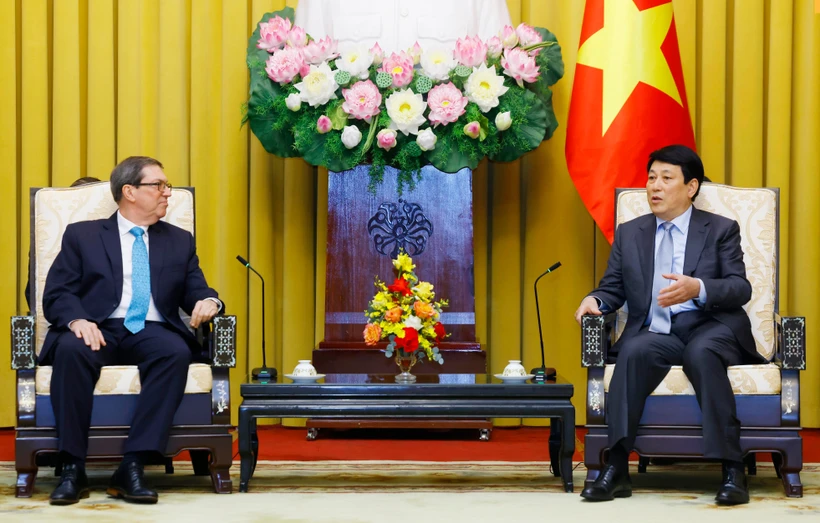 El presidente vietnamita recibe al ministro de Relaciones Exteriores de Cuba, Bruno Rodríguez Parrilla. (Fuente: VNA)