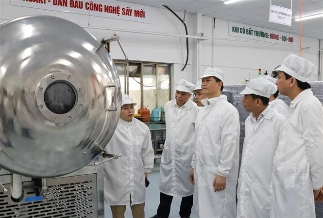 El presidente del Comité Popular de Bac Ninh, Vuong Quoc Tuan, visita la Compañía de fabricación, procesamiento e importación y exportación de Hanel en el Parque Industrial Tien Son. (Foto: VNA)