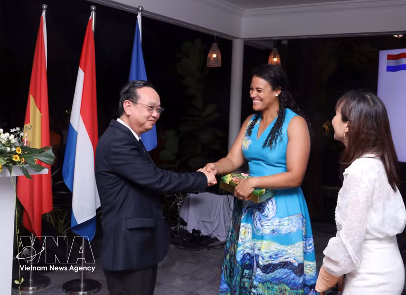 El vicepresidente del Comité Popular de Ciudad Ho Chi Minh, Bui Minh Thanh, entrega un obsequio diplomático para felicitar a la Raissa Marteaux (centro), cónsul general de los Países Bajos en Ciudad Ho Chi Minh. (Foto: VNA)