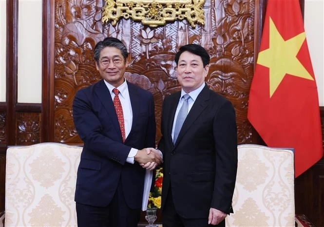 El presidente vietnamita, Luong Cuong, recibe a Ito Naoki, embajador de Japón en el país. (Fuente: VNA)