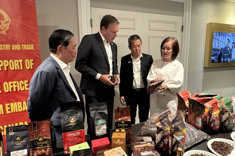 Tran Thu Quynh, consejera comercial de Vietnam en Canadá (derecha), presenta productos de café de alta calidad al presidente de la Asociación Canadiense del Café (segundo desde la izquierda). (Fuente: VNA)