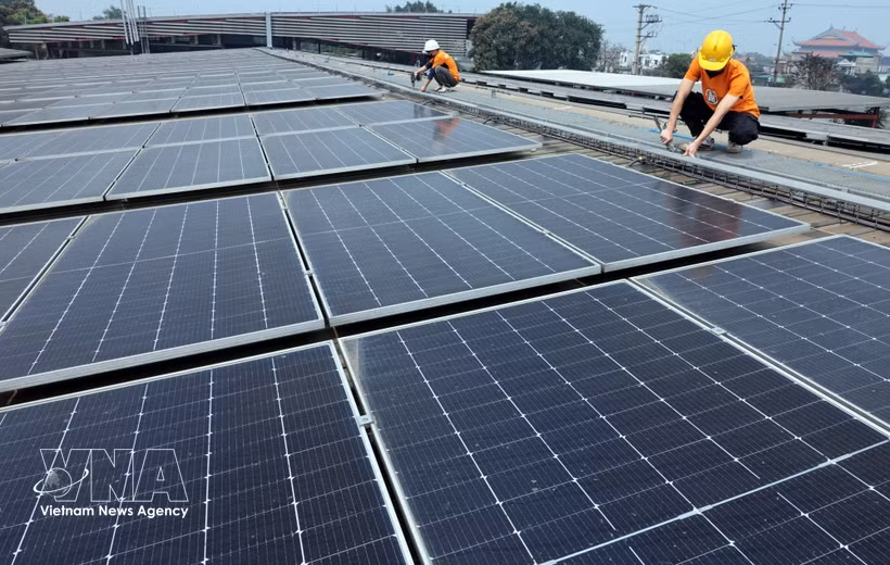 Las fuentes de recursos humanos de ESG en Vietnam sigue siendo limitadas tanto en cantidad como en calidad. (Foto: VNA)