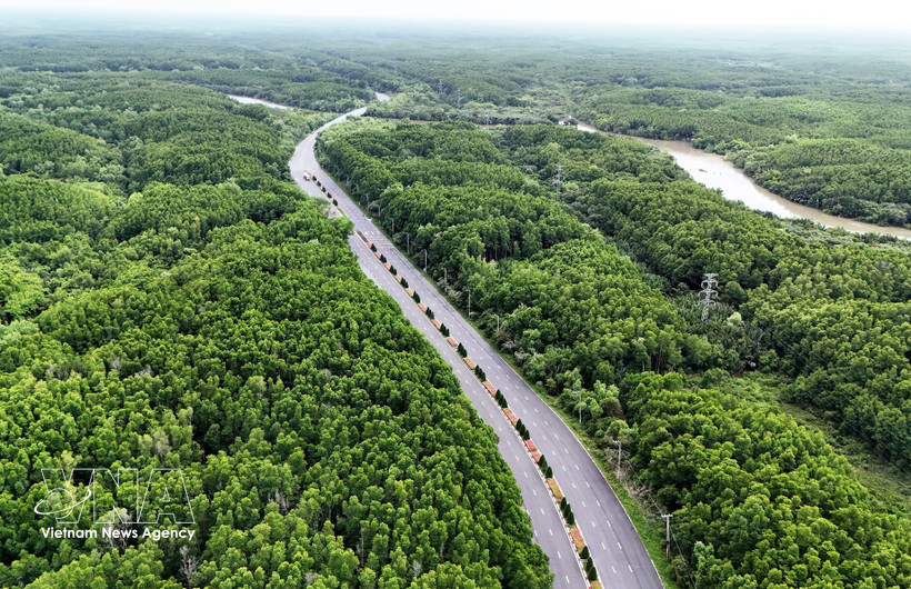 Bosque de manglares de Can Gio. (Foto: VNA)