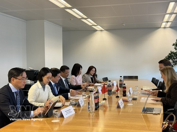 Representantes vietnamitas y suizos en la reunión. (Fuente: VNA)