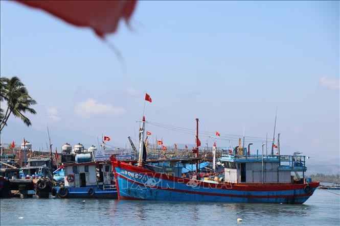 Foto de ilustración. (Fuente: VNA)