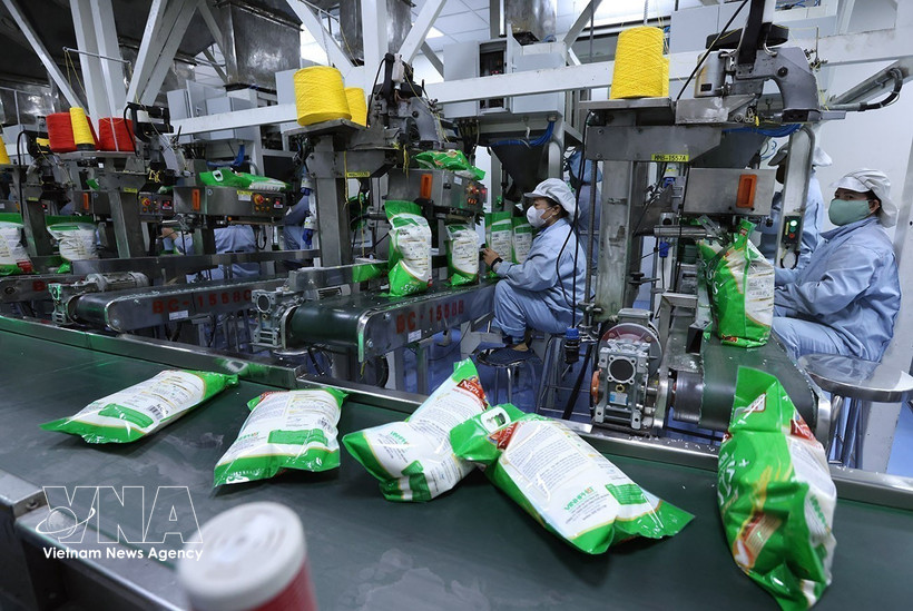 Empaquetado de arroz para exportación en la fábrica de Vinh Phat, en el barrio de Binh Duc, provincia de An Giang. (Foto: VNA)