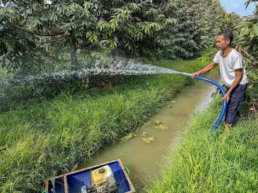  Agricultores de la comuna de Vinh Binh Bac, distrito de Go Quao, cuidan los jardines de durian después de que el sistema de irrigación de la provincia de Kien Giang se cerrara gradualmente para ayudar a prevenir la salinidad y proteger las áreas de agua dulce durante la estación seca. (Fuente: VNA)