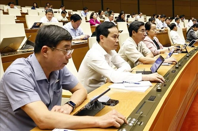 Delegados de la Asamblea Nacional votan para aprobar la Resolución. (Fuente: VNA)