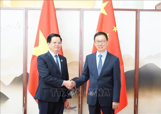 El viceprimer ministro vietnamita, Mai Van Chinh, se reunió con el subjefe del Estado chino Han Zheng. (Fuente: VNA)