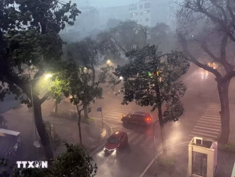 Las fuertes lluvias y tormentas eléctricas causadas por la tormenta n.º 3 provocaron la caída de numerosos árboles en las calles de Hanoi. (Foto: VNA)