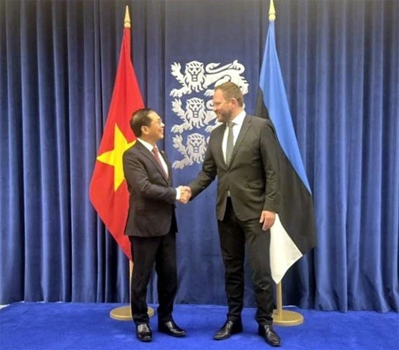 El viceprimer ministro y canciller de Vietnam, Bui Thanh Son, y el titular de Asuntos Exteriores de Estonia, Margus Tsahkna. (Fuente: VNA)