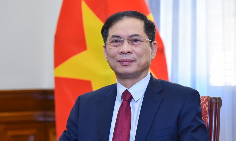 El vicepremier y canciller, Bui Thanh Son. (Fuente: VNA)