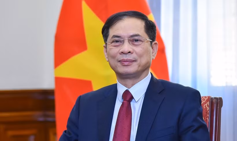 El vicepremier y canciller, Bui Thanh Son. (Fuente: VNA)