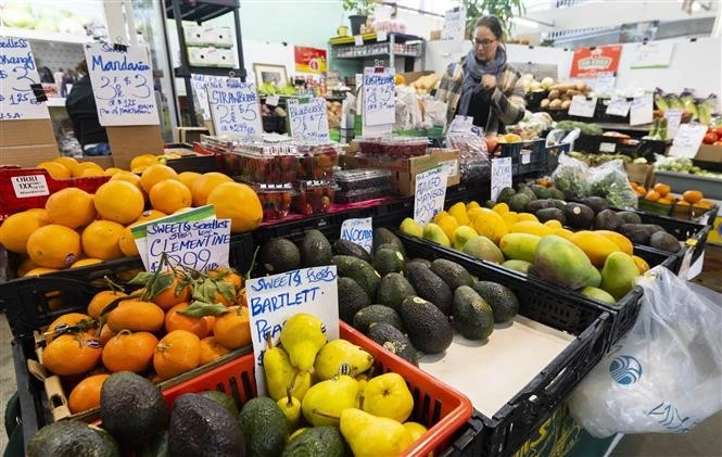 Las personas compran productos en un mercado de Ontario, Canadá. (Foto: Xinhua/VNA)