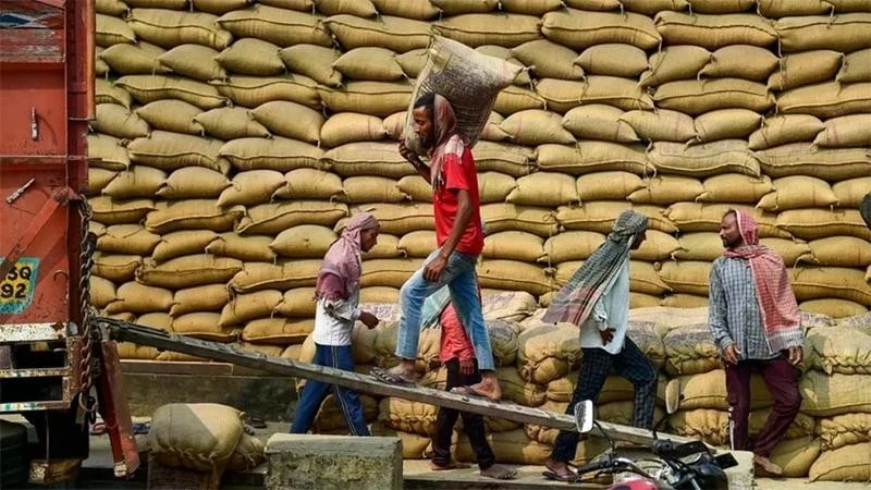 Trabajadores transportan arroz en un almacén en Jalandhar, India. (Fuente: ANI/VNA)