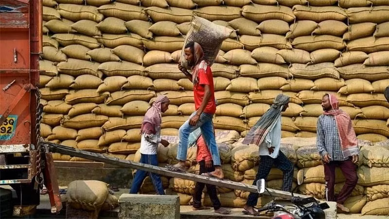 Trabajadores transportan arroz en un almacén en Jalandhar, India. (Fuente: ANI/VNA)