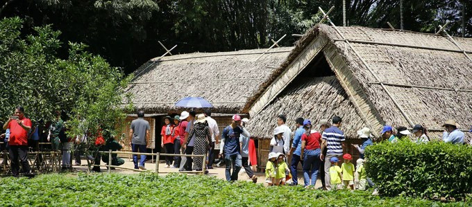 Mucha gente visitó la aldea de loto con motivo del 135 aniversario de l natalicio del Presidente Ho Chi Minh. (Foto: sggp.org.vn)