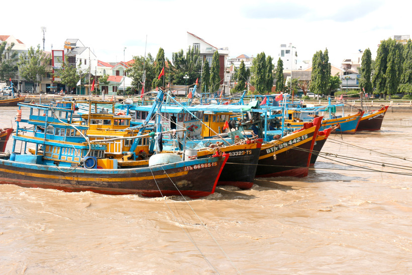 Barcos pesqueros anclados en el río Ca Ty, barrio de Phan Thiet, Lam Dong. (Fuente: VNA)