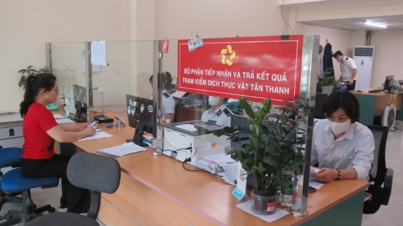 Recepción de registros de control fitosanitario de productos agrícolas antes de su exportación antes de su exportación. (Fuente: nhandan.vn)