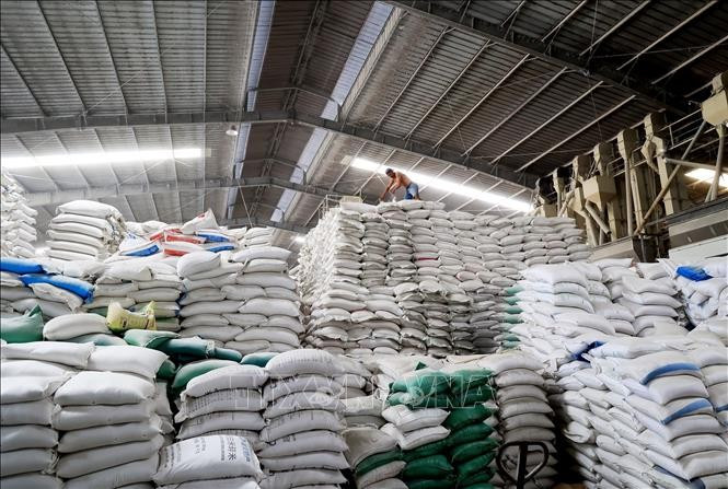 Almacén de arroz para exportación en la compañía Duong Vu, distrito de Thu Thua (Long An). (Foto: VNA)