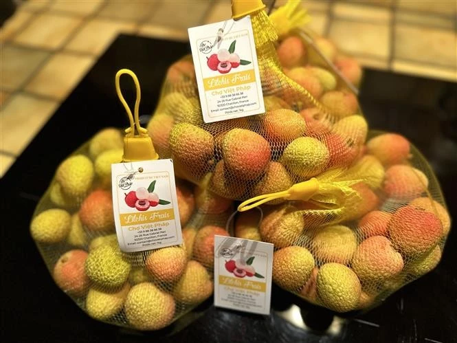 Los primeros lichis frescos de la cosecha 2025 procedentes de Vietnam han presentado en los supermercados franceses. (Fuente: VNA)