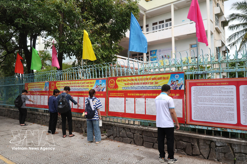 Estudiantes de la Universidad de Educación Técnica (Universidad de Da Nang) revisan la lista de candidatos. (Foto: VNA)