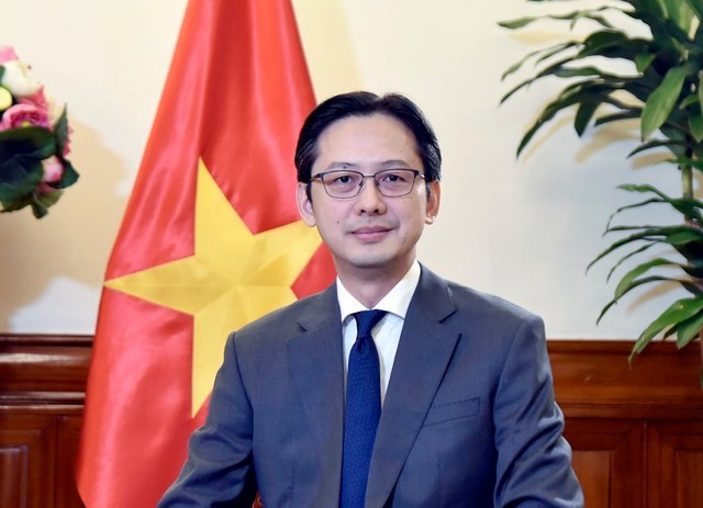 Do Hung Viet, viceministro de Relaciones Exteriores de Vietnam. (Fuente: VNA)