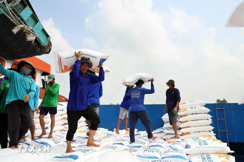 Carga y descarga de arroz para exportación. (Foto: VNA)