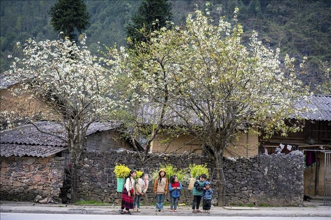 La belleza de la gente y el hermoso paisaje son lo que atrae a los turistas a Ha Giang. (Foto: VNA)