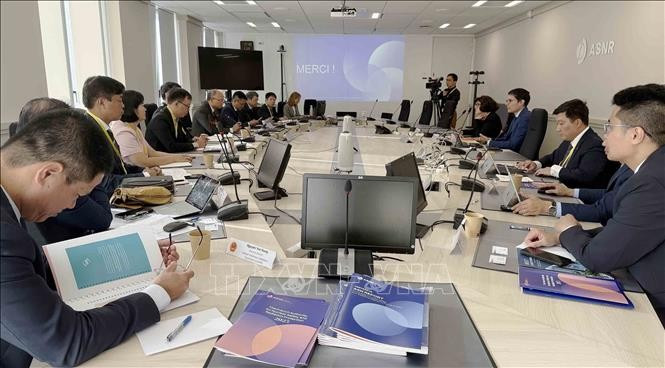 Panorama de la reunión. (Fuente: VNA)