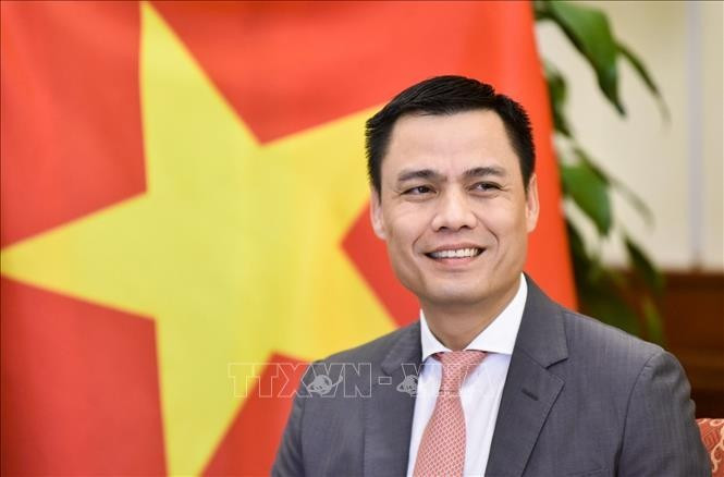 El viceministro de Relaciones Exteriores Dang Hoang Giang. (Fuente: VNA)
