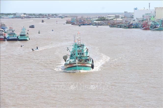 Barcos pesqueros entrando y saliendo del estuario del río Doc, provincia de Ca Mau. (Foto: VNA)