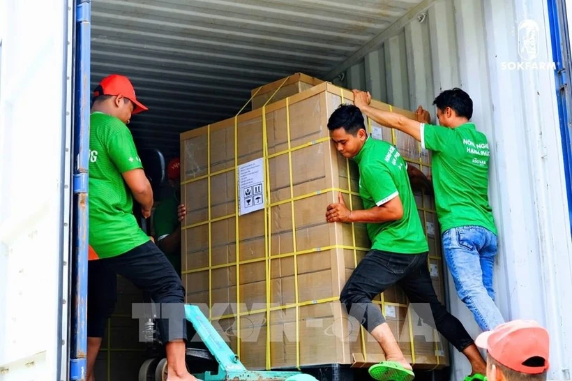 Personal de Sokfarm prepara el envío de exportación a EE.UU. (Foto: VNA)