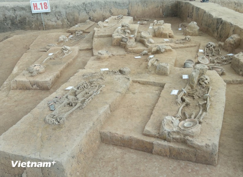La zona de entierro tiene una antigüedad que se extiende desde la fase tardía de la cultura Phung Nguyen hasta la fase temprana de Dong Dau, llegando hasta la fase tardía de la cultura Dong Son. (Fuente: Vietnam+)