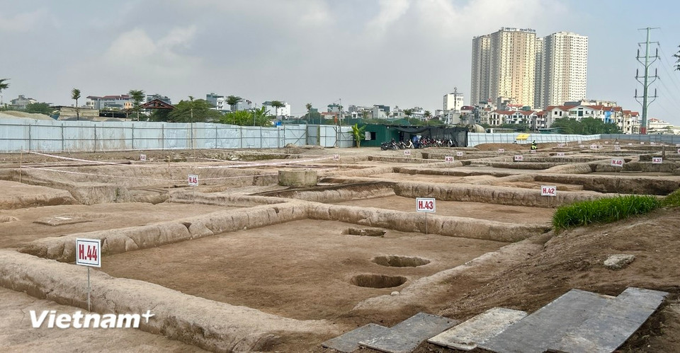 La exploración en el lado oeste del sitio abarcó más de 60 fosas de excavación, cada una con una superficie de 100 metros cuadrados. (Fuente: Vietnam+)