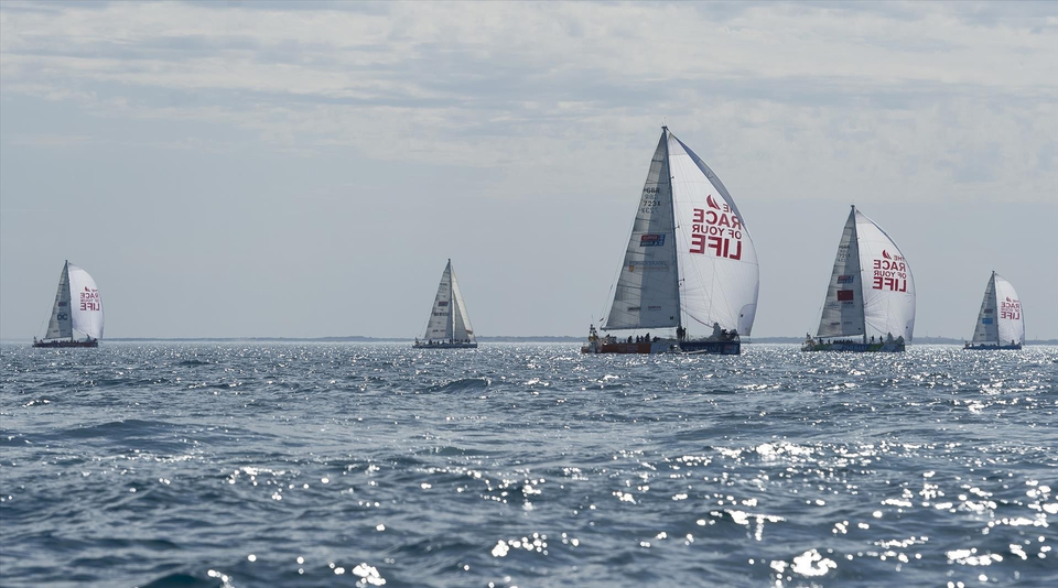 5. En febrero de 2024, en el marco de la regata de vuelta al mundo Clipper Race temporada 2023-2024, se llevó a cabo en Ha Long (Quang Ninh) la etapa número cinco, llamada Desafío Asia-Pacífico. (Foto: VNA)