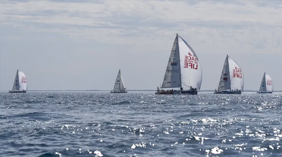 5. En febrero de 2024, en el marco de la regata de vuelta al mundo Clipper Race temporada 2023-2024, se llevó a cabo en Ha Long (Quang Ninh) la etapa número cinco, llamada Desafío Asia-Pacífico. (Foto: VNA)