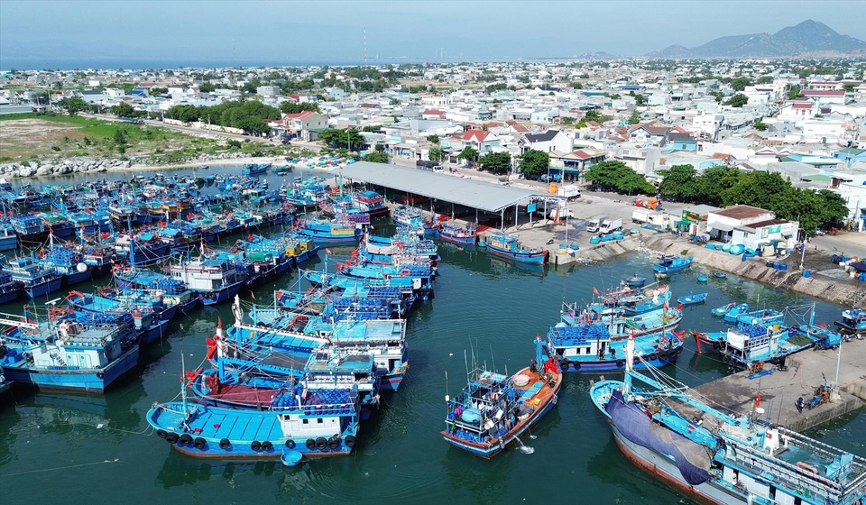 2. El puerto pesquero de My Tan (comuna de Thanh Hai, distrito de Ninh Hai, provincia de Ninh Thuan) ha trasformado de manera integral para satisfacer las necesidades de desarrollo económico marítimo de la localidad. (Foto: VNA)