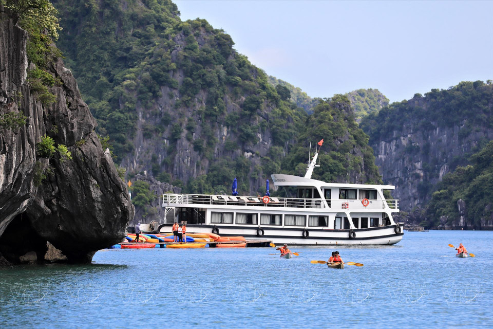 Los visitantes pueden explorar la bahía remando en kayak desde los cruceros, disfrutando del hermoso paisaje y el aire fresco. (Foto: Revista Vietnam)