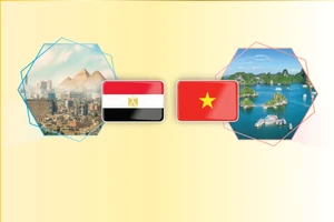 Relación de amistad tradicional entre Vietnam y Egipto