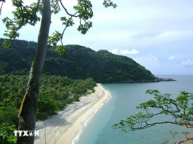 Playa en el Parque Nacional de Con Dao. (Fuente: VNA) con-dao.jpg.webp