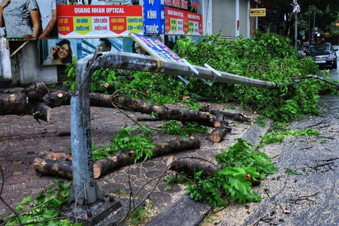 Un poste de luz derribado (Foto: VNA) vna_potal_ha_noi_vang_lang_truoc_luc_bao_do_bo_cay_xanh_gay_do_khap_noi_7578862.jpg