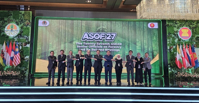 En el ASOF 27. (Foto: Departamento Forestal) Hội_nghị_Nhóm_quan_chức_cấp_cao_của_ASEAN_về_Lâm_nghiệp_lần_thứ_27._Ảnh_Cục_Lâm_nghiệp.jpg
