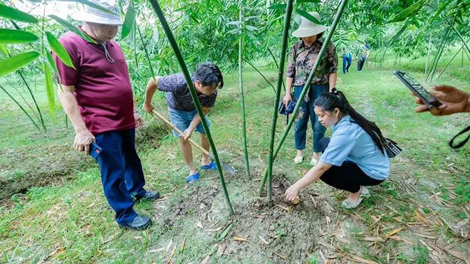 Un modelo de turismo agrícola ecológico en Bac Giang. (Foto: Periódico Nhan Dan) 42222-8517.jpg.webp