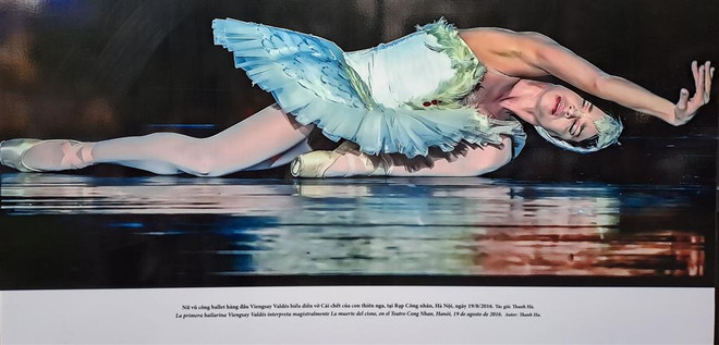 BALLET-5.jpg