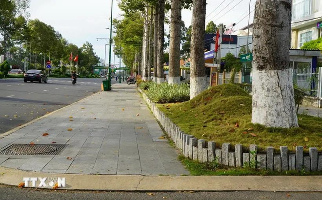 El proyecto de renovación de aceras en la calle Ly Thuong Kiet (ciudad de Cao Lanh, provincia de Dong Thap) realizado por la compañía Cong Minh (Foto: VNA) cay_xanh.webp