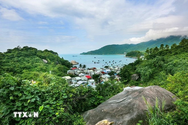 Reserva Mundial de la Biosfera Cu Lao Cham. (Foto: VNA) e1vadrdi.png