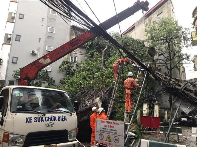 Electricistas reparan los postes de luz caídos a causa de la tormenta. (Foto: VNA) vna_potal_nganh_dien_khan_truong_khoi_phuc_luoi_dien_do_anh_huong_cua_bao_so_3_7580426.jpg