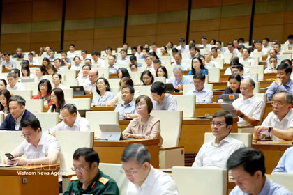Delegados participantes en la cita (Foto: VNA)